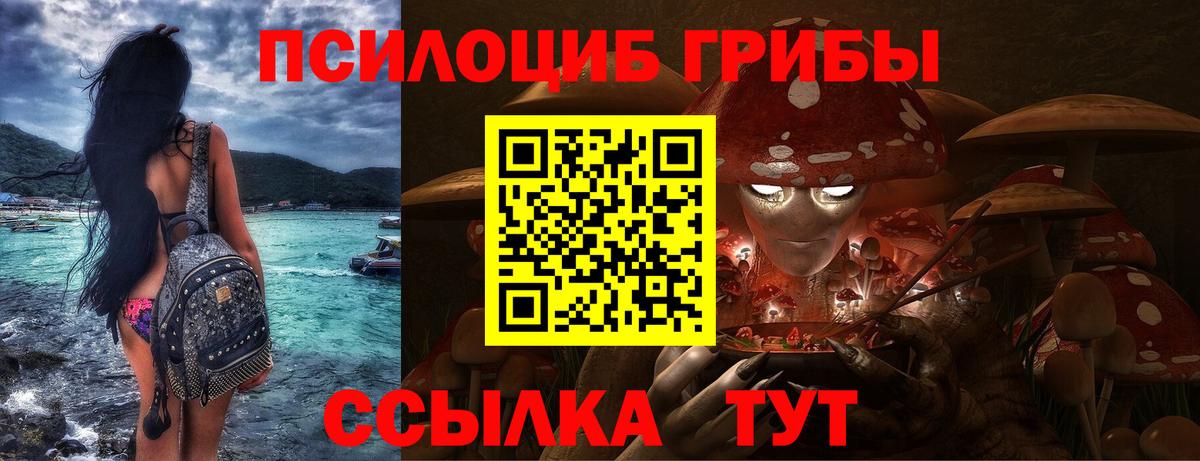 Каменка  Псилоцибиновые грибы MAGIC MUSHROOMS  Вход с VPN 