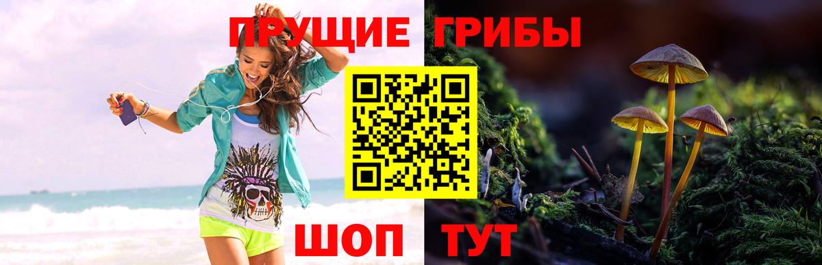 Псилоцибиновые грибы мухоморы Каменка